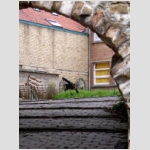 20_045 Bergues.jpg